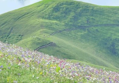 आकर्षक पर्यटकीय गन्तव्य बागलुङको चौरीखर्क